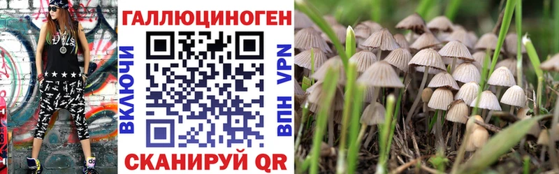 Псилоцибиновые грибы MAGIC MUSHROOMS  блэк спрут ССЫЛКА  Няндома 